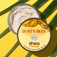 Shea + Mango Hand & Body Butter