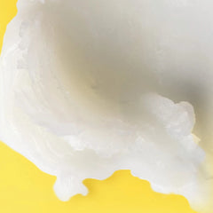 Shea + Cocoa Butter Moisturizing Lip Balm