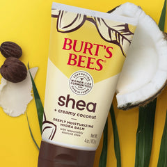 Shea + Creamy Coconut Deeply Moisturizing Hydra Balm